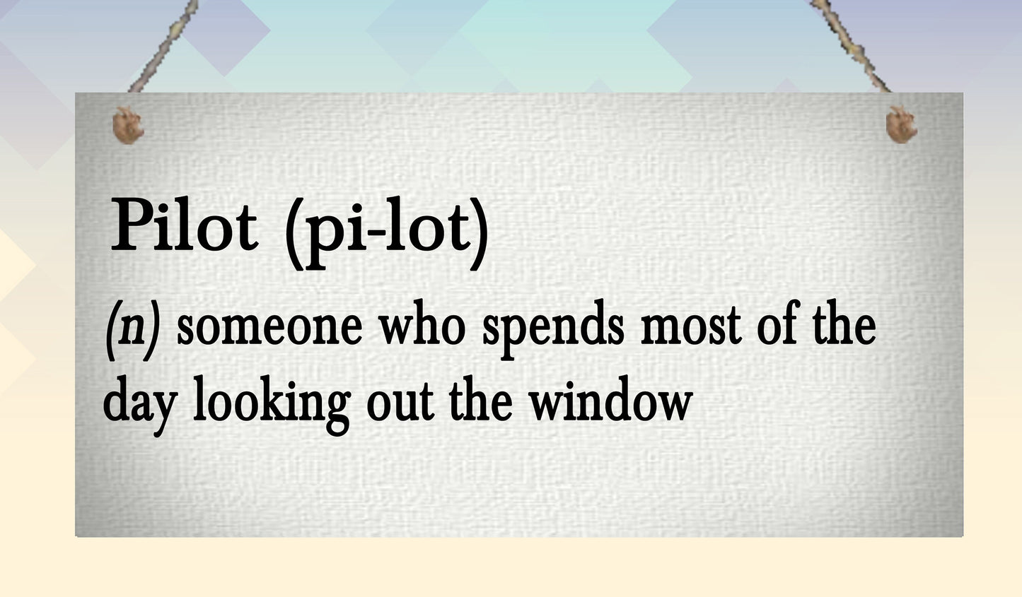 Pilot Definition Funny Metal Hanging Wall Plaque Gift Present Birthday Christmas