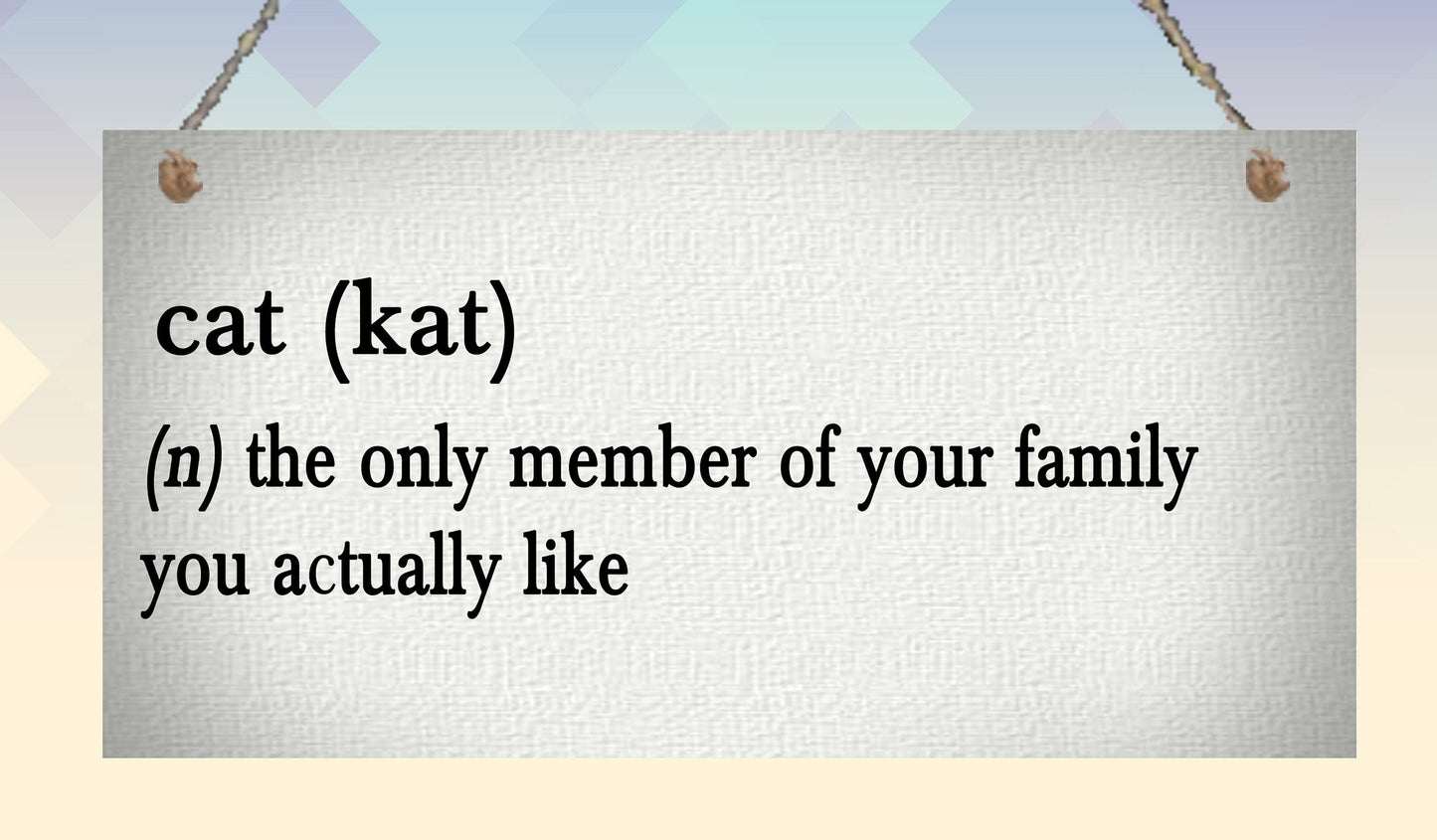 Cat Definition Funny Metal Hanging Wall Plaque Gift Present Birthday Christmas