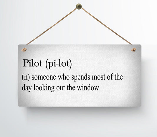 Pilot Definition Funny Metal Hanging Wall Plaque Gift Present Birthday Christmas